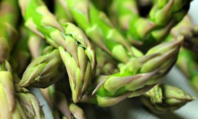 Kuşkonmazın faydalarını biliyor musunuz?