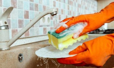 Tam Bir Virüs Yuvası…Hemen Fırına Atın…