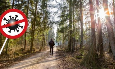 Eyvah! 850 bin virüs daha var…